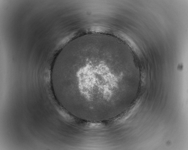 X0000102540401200808151647