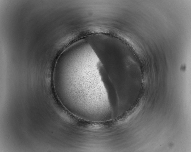 X0000102540402200808151647