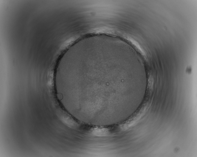 X0000102540403200808151647