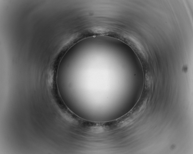 X0000102540404200808151647