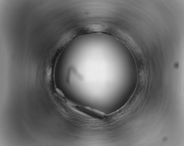 X0000102540406200808151647