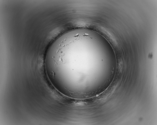 X0000102540407200808151647