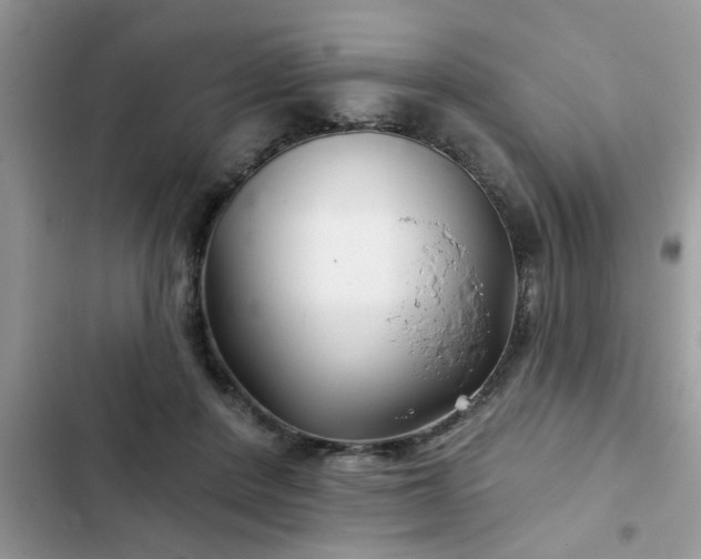 X0000102540408200808151647