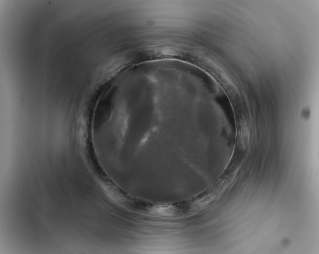 X0000102540410200808151647