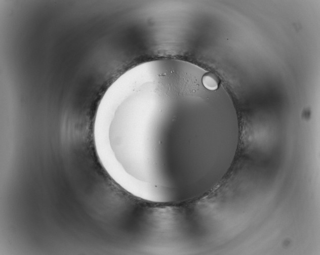 X0000102540411200808151647