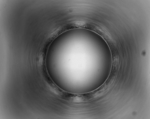 X0000102540412200808151647