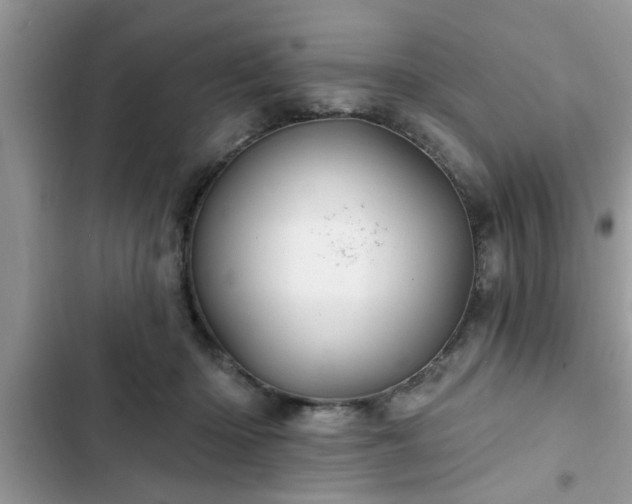 X0000102540414200808151647