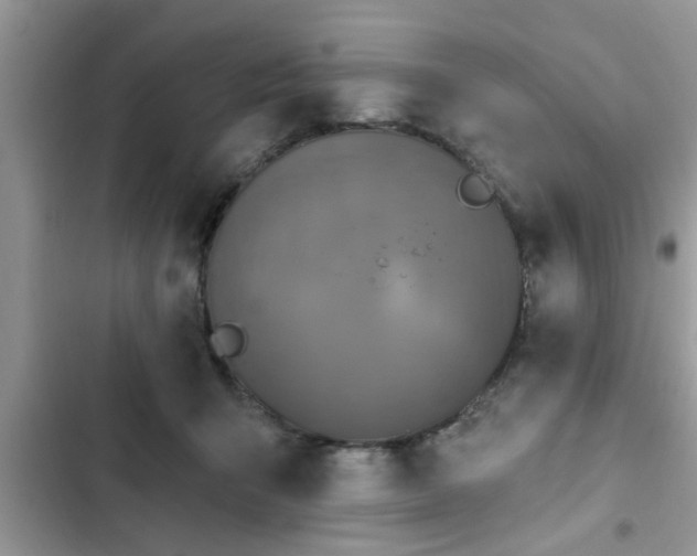 X0000102540415200808151647
