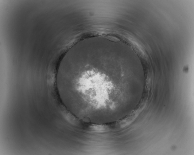 X0000102540417200808151647