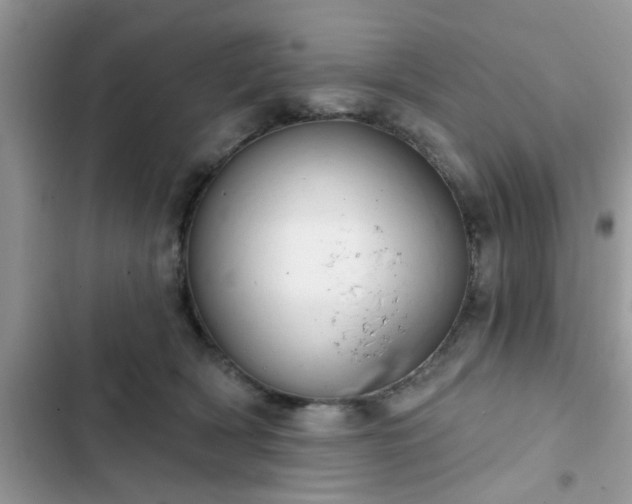 X0000102540418200808151647