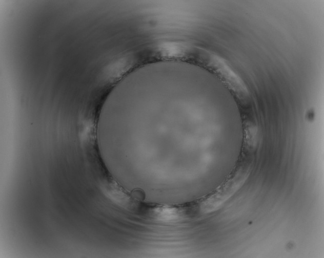 X0000102540419200808151647