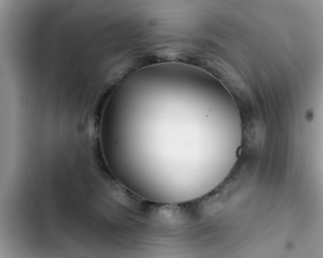X0000102540420200808151647