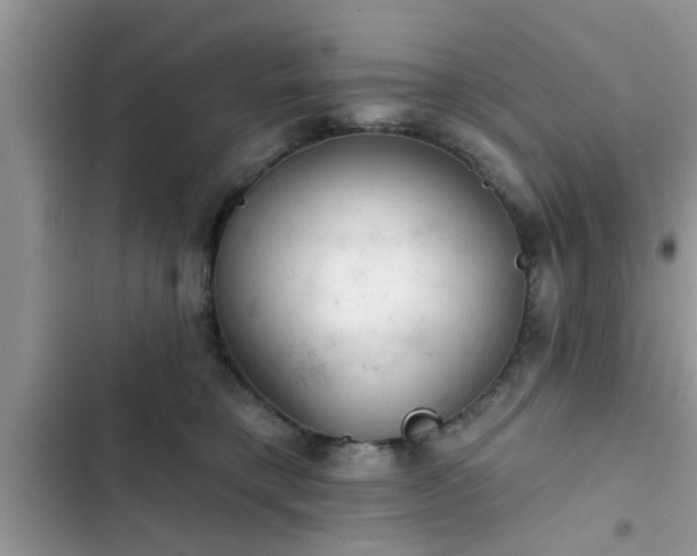 X0000102540421200808151647