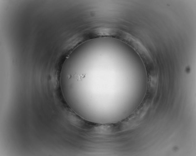 X0000102540422200808151647