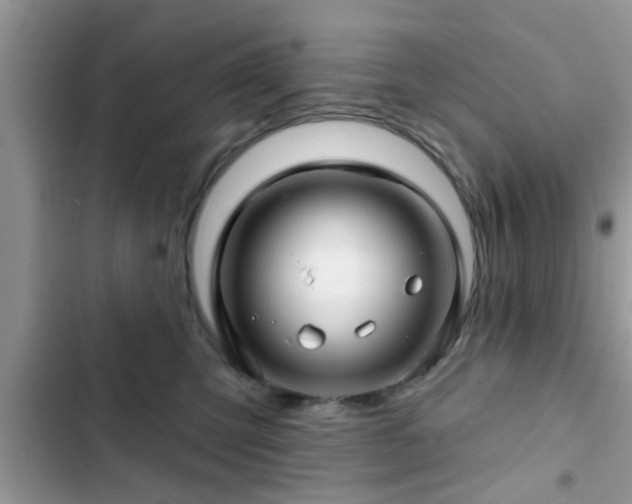 X0000102540423200808151647
