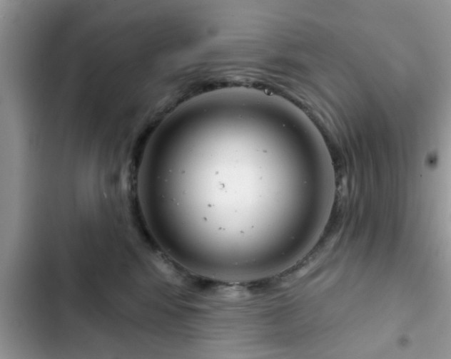X0000102540424200808151647