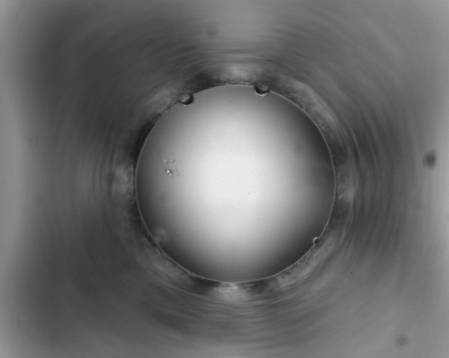 X0000102540425200808151647