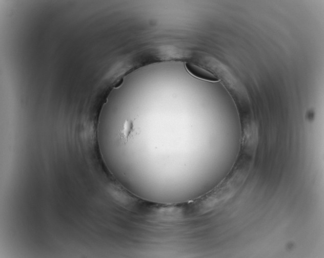 X0000102540426200808151647