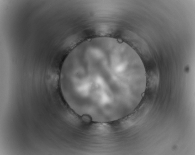 X0000102540427200808151647