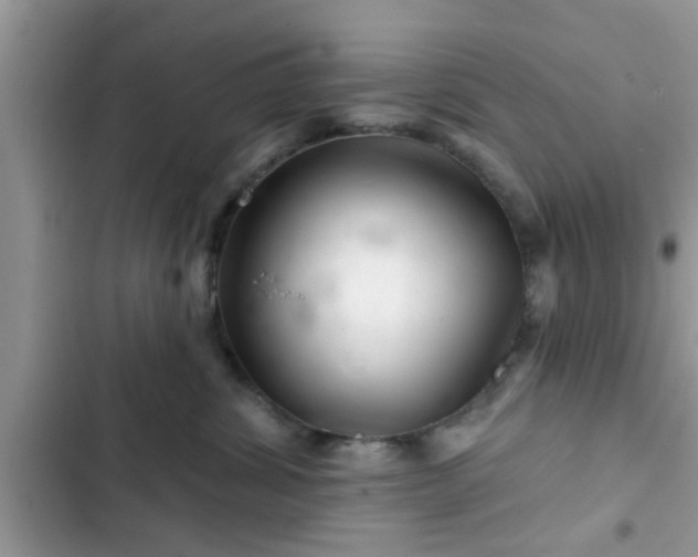 X0000102540428200808151647
