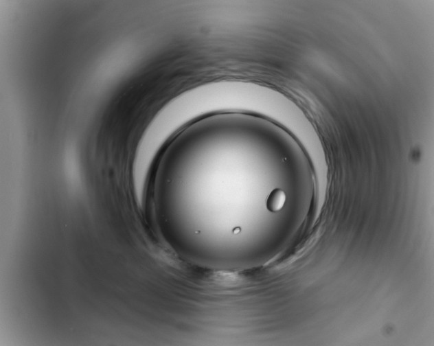 X0000102540429200808151647