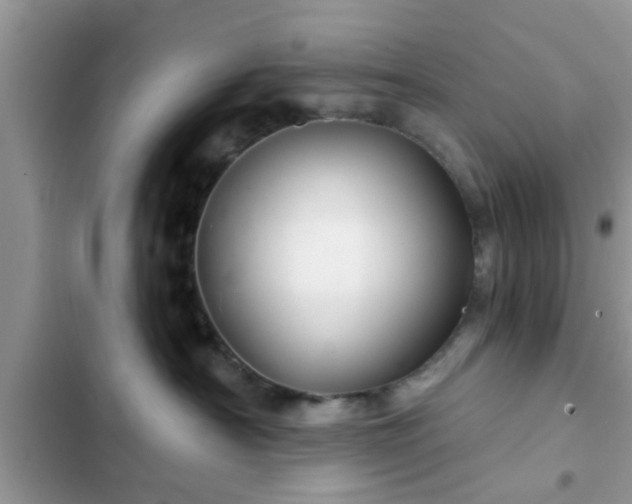 X0000102540430200808151647