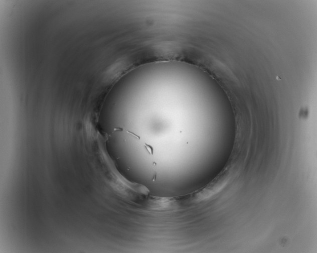 X0000102540432200808151647
