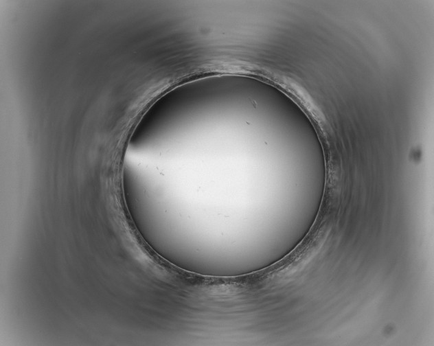 X0000102540433200808151646