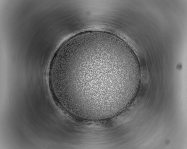 X0000102540434200808151646