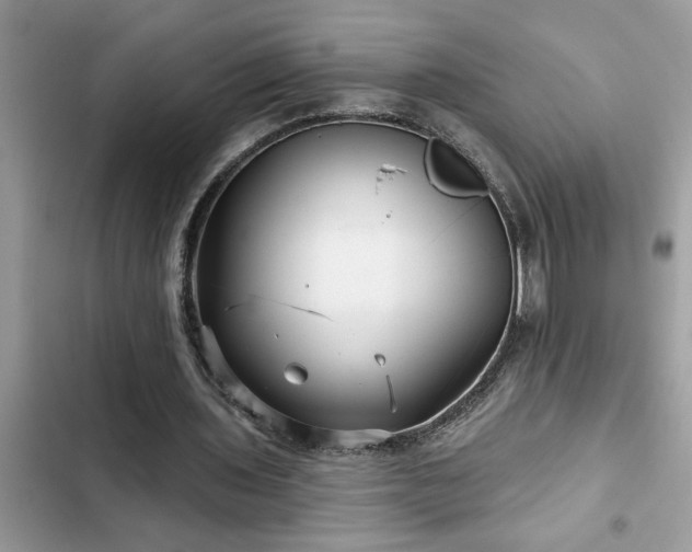 X0000102540435200808151646