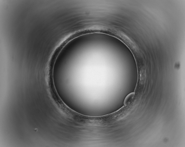 X0000102540436200808151646
