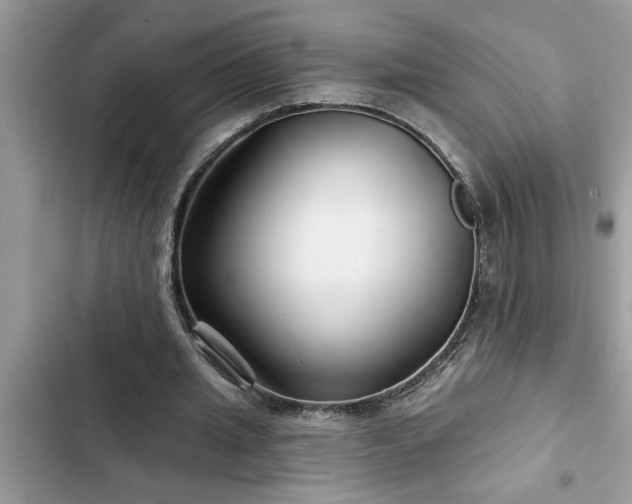 X0000102540437200808151646