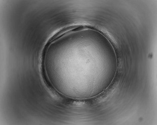X0000102540440200808151646