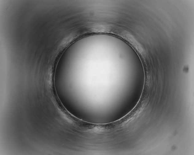 X0000102540441200808151646