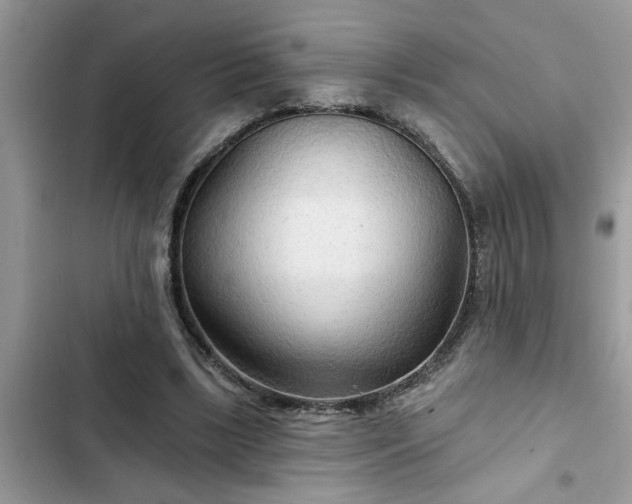 X0000102540443200808151646