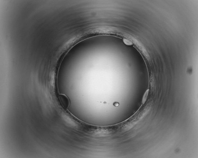 X0000102540445200808151646
