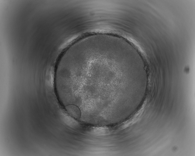 X0000102540446200808151646