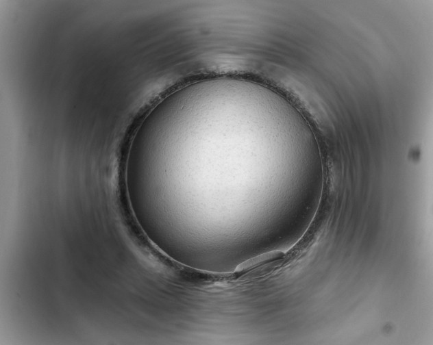 X0000102540447200808151646