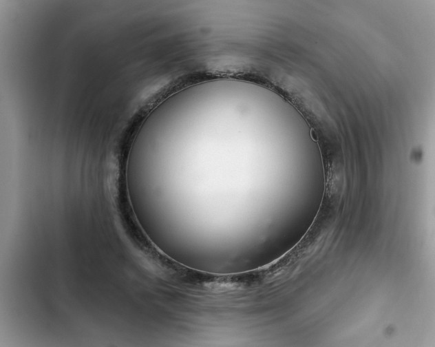 X0000102540448200808151646