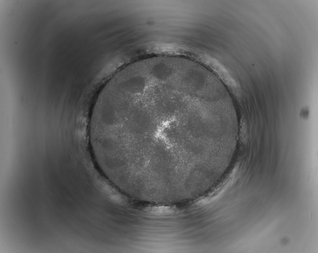 X0000102540449200808151646