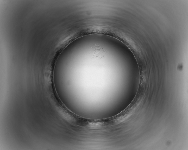 X0000102540450200808151646
