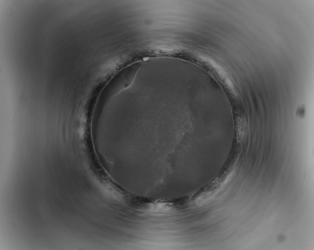 X0000102540451200808151646