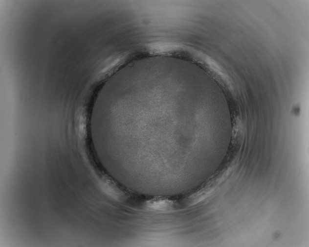 X0000102540452200808151646