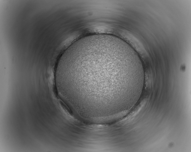 X0000102540453200808151646