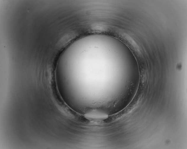 X0000102540455200808151647