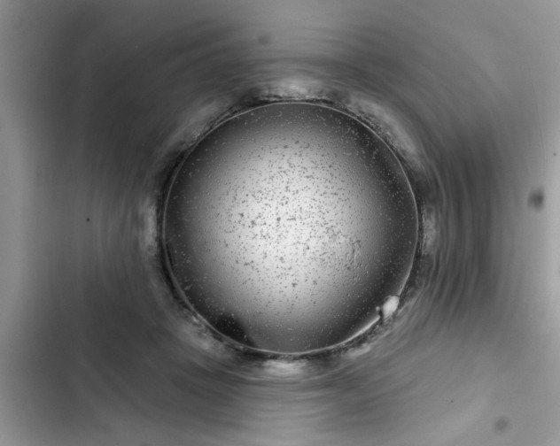 X0000102540457200808151647