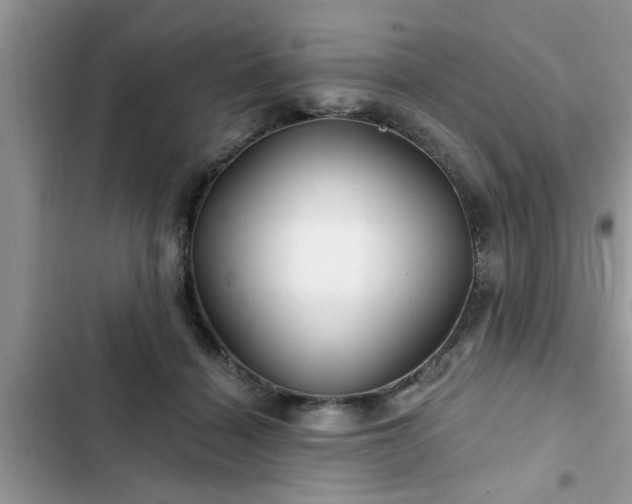 X0000102540460200808151647