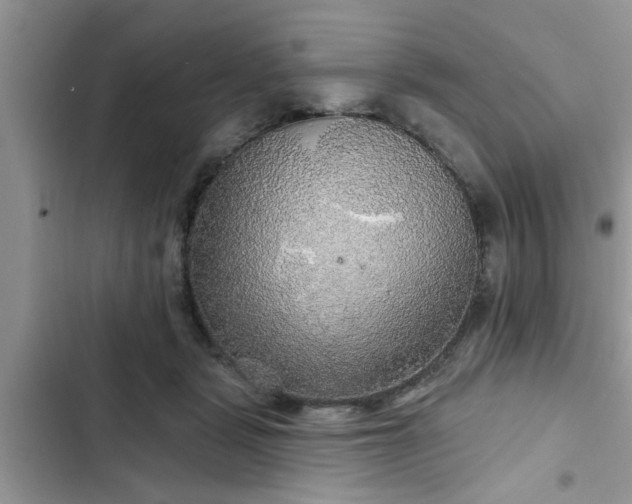 X0000102540461200808151647