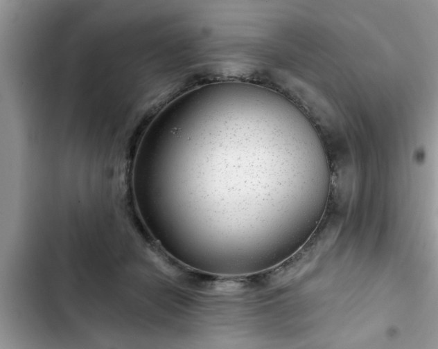 X0000102540462200808151647