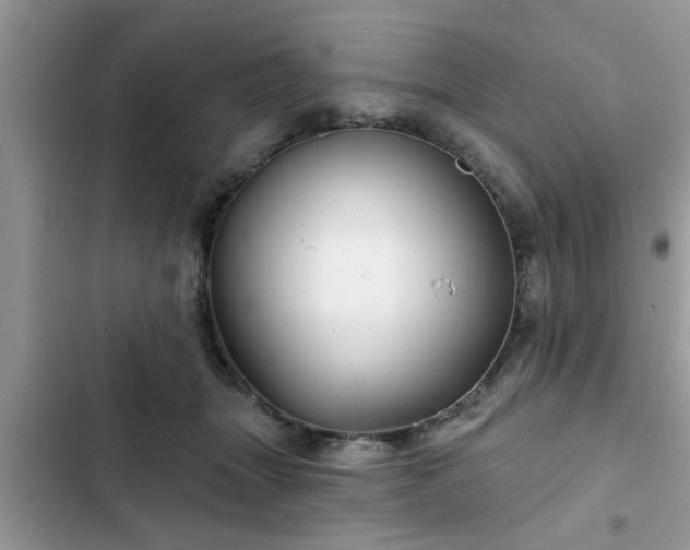 X0000102540463200808151647
